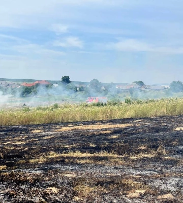 Під час спалювання сухої трави загинула жителька Берегівщини