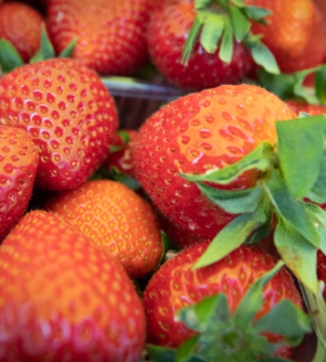 Де на цьому тижні у Києві пройдуть продуктові ярмарки. Адреси
