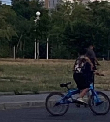 В Ізмаїлі підлітки розважаються, травмуючи кішкам лапи