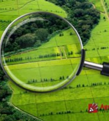 На Закарпатті виставили на аукціони понад 250 земельних ділянок