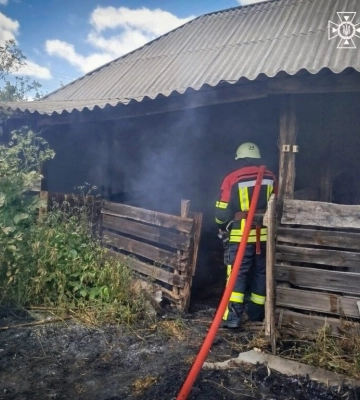 Мільярдні збитки довкіллю та спалені екосистеми: жителів Одещини закликають берегти природу від пожеж