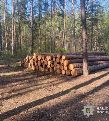 На Сумщині судитимуть фігурантів справи про незаконну вирубку дерев у ландшафтному парку «Сеймський» на ₴5,9 млн