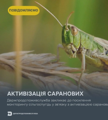 В Харьковской области нарушитель наехал на полицейского
