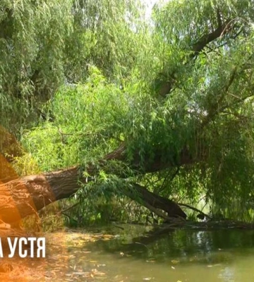 Берег Усті перетворився на смітник: у середмісті Рівного занепадає територія біля річки (ВІДЕО)