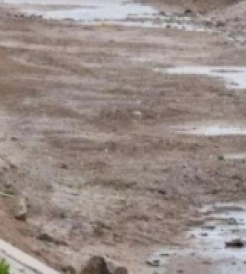 Через нестачу води на окупованій частині Херсонської області вже посохли посіви зернових