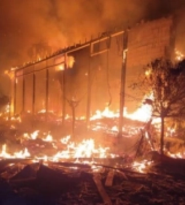 Через обстріл Вилкового на Одещині довкіллю завдано збитків на понад 216 тисяч гривень