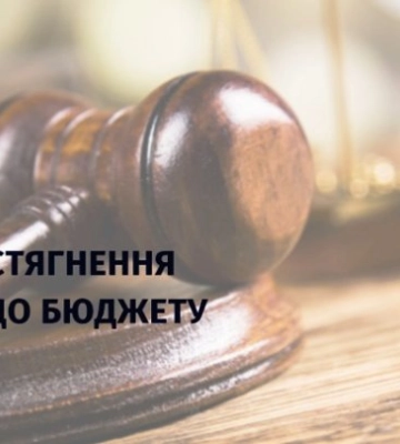 В орендаря на Закарпатті забрали 15 гектарів комунальної землі