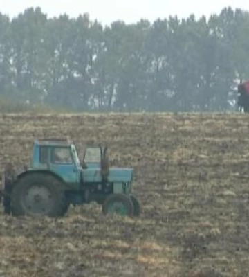 Половина українських земель може втратити урожайність до 2050 року