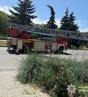 У Нікополі поліцейські знешкодили дрон з вибухівкою, який застряг на ялинці