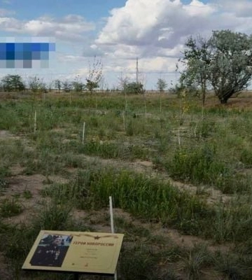 Патриотизм засох: в сети показали, во что превратилась "роща героев" под Мелитополем (видео)