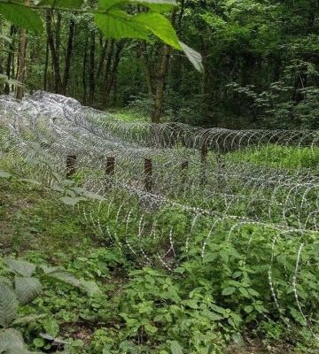 Сирський: Російський наступ на Сумщині зупинено, лінія фронту стабілізована