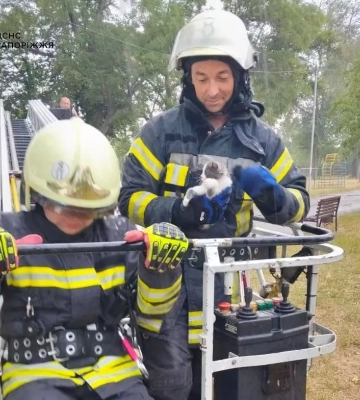 У Запоріжжі бійці ДСНС врятували пухнастого горе-верхолаза
