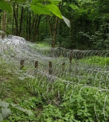 Сирський: Російський наступ на Сумщині зупинено, лінія фронту стабілізована