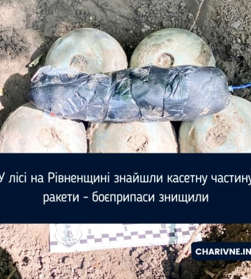 У лісі на Рівненщині знайшли касетну частину ракети - боєприпаси знищили
