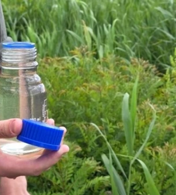 З річки Дніпро взяли проби води: результати