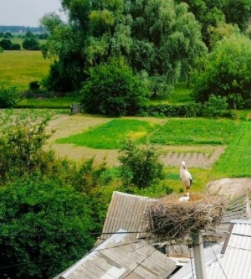 Гідрометцентр: у вівторок в Україні прогріється до +28°, місцями короткочасні дощі