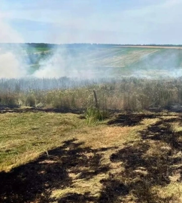 На Закарпатті жінка згоріла живцем під час спалювання сухостою
