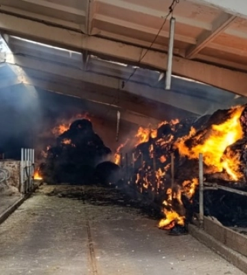 На Харківщині росіяни завдали авіаудару по сільгосппідприємству - двоє людей поранені, загинула худоба