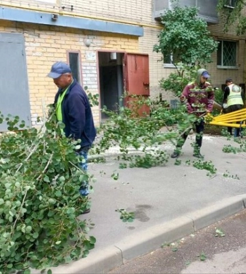 Негода у Харкові: комунальники досі прибирають повалені дерева 