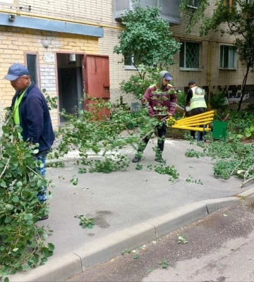 Негода у Харкові: комунальники досі прибирають повалені дерева 
