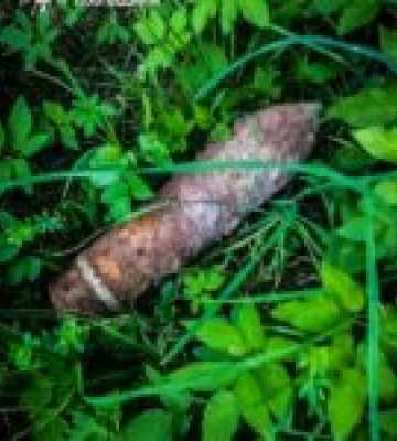 На Львівщині знищено артилерійський снаряд часів Другої світової