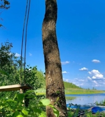 Аномальний ліс і загублене озеро: чим особливий курортний Шацький нацпарк
