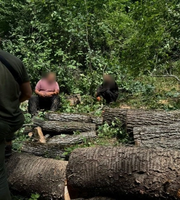 У лісі на Одещині чоловік незаконно вирубав дерева