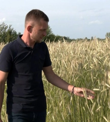 «Цим треба жити, це треба любити»: волинська родина обробляє понад 80 гектарів землі