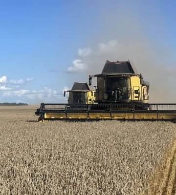 Агрохолдинг Tekom Agro Group розпочав жнива озимої пшениці