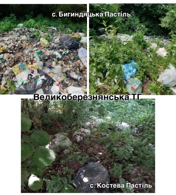На території Великоберезнянської громади виявлено 7 несанкціонованих звалищ ТПВ