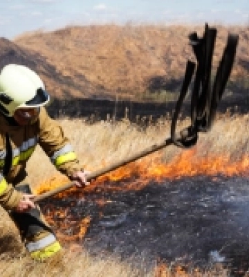 За минулий тиждень у Миколаївській області народилось 80 дітей