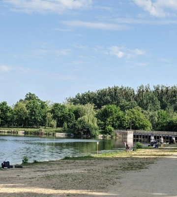 Вода в озері Басів Кут у Рівному знову не відповідає нормам