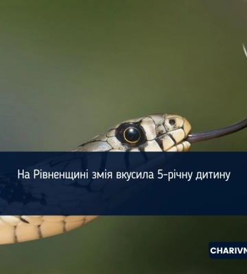 На Рівненщині змія вкусила 5-річну дитину
