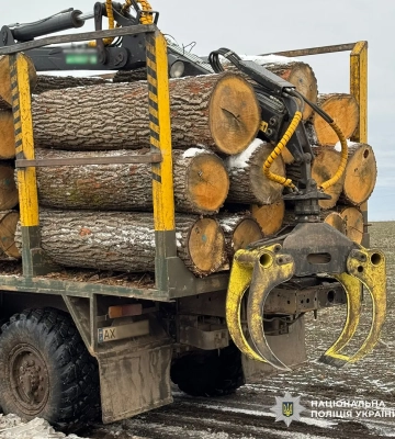 На Харківщині викрили керівника лісгоспу, який організував незаконну вирубку дерев