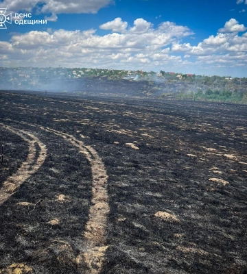 Горіли дачні будинки та суха трава: в Одеському районі гасили масштабну пожежу 