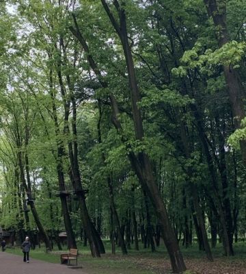 В Ужгороді стартує серія забігів в Боздоському парку