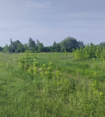 Громада на Волині продає за пів мільйона комунальну землю