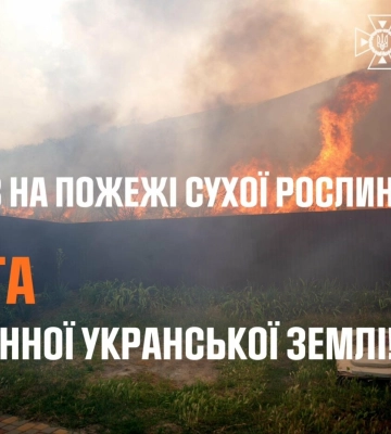 Вогонь за 48 годин знищив 80 гектарів: на Одещині сталося понад 150 пожеж