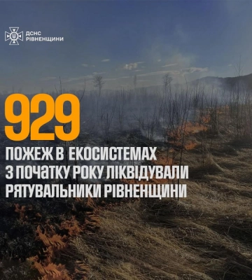 На Рівненщині з початку року виникло 929 пожеж у природних екосистемах