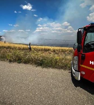 На Николаевщине более 520 гектар зерновых уничтожил огонь за сутки