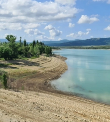 В восьми районах Крыма ввели режим ЧС из-за засухи – Аксенов