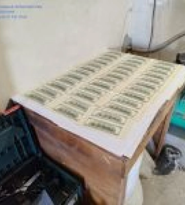 Вилучено понад 2 млн грн та $20 тис. Затримано групу фальшивомонетників на Київщині. ВІДЕО+ФОТОрепортаж