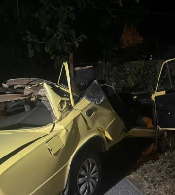 Комбайн выехал на встречную - в Одесской области погибла пенсионерка