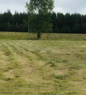 На Полтавщині прогнозують грозу