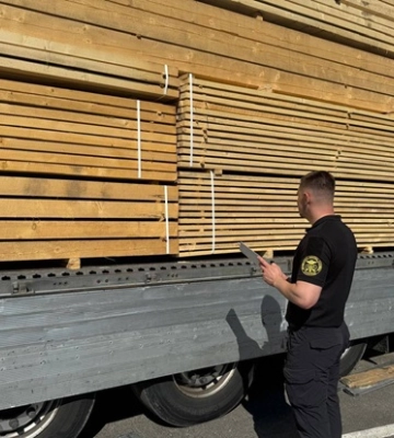 На Закарпатті митники запобігли незаконному експорту хвойної деревини