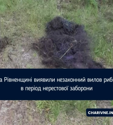 На Рівненщині виявили незаконний вилов риби в період нерестової заборони