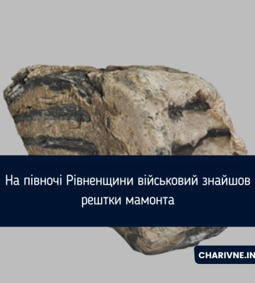 Воїн з Рівненщини знайшов зуби мамонта, коли копав окоп