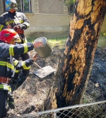 Закарпатська &quot;ноу-хау&quot;: Як позбутися зайвого вогняним методом, або Сусіди, тримайтеся!