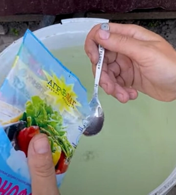 В июне растворите это в воде – и морковь вырастет ровная, крупная и сладкая