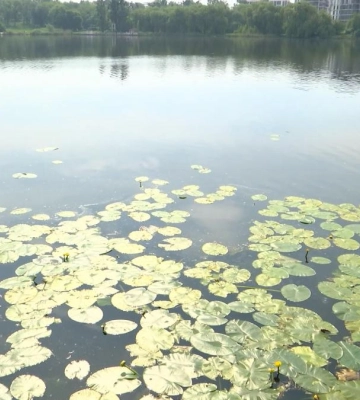 17 смертей на воді: рятувальники Рівненщини закликають дотримуватися правил безпечного купання (ВІДЕО)